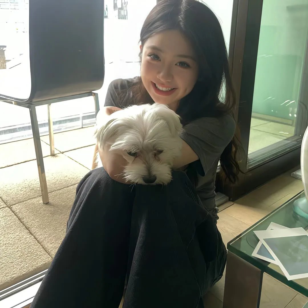 少年四大名捕粤语
